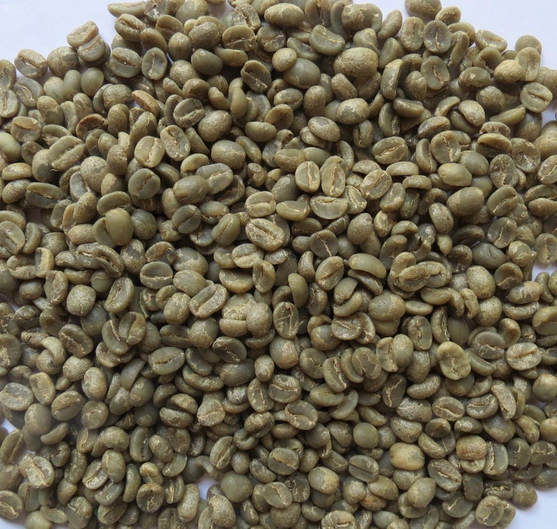 Primos Coffee Co. 3 Lb, Single Origin Unroasted Green Coffee Beans, Specialty Grade From Single Nicaraguan Estate, Direct Trade (Caturra Varietal) - Image 3